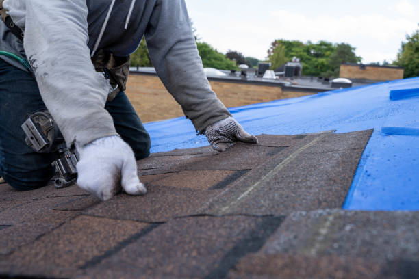 Best Roof Gutter Cleaning  in Evansville, WI