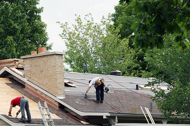 Best Shingle Roofing Installation  in Evansville, WI