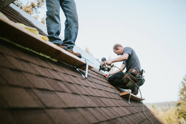 Best Roof Repair Services  in Evansville, WI